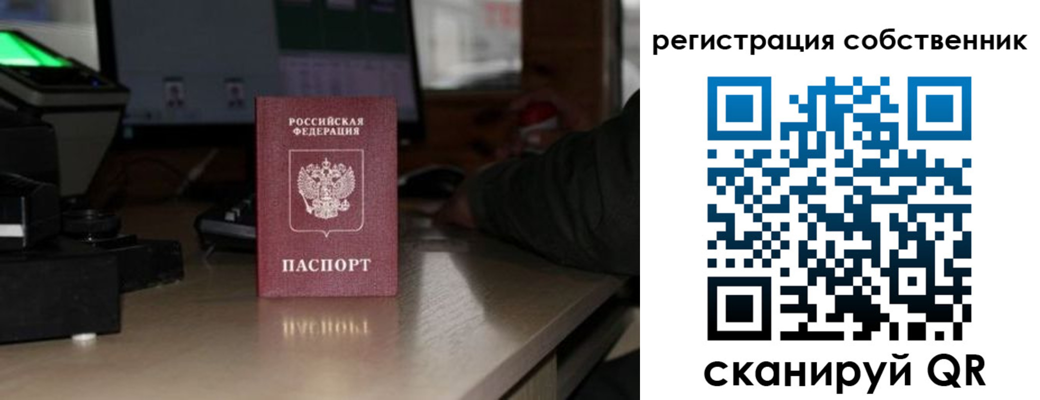 прописка поиск в Нижнекамске